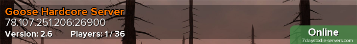 Goose Hardcore Server